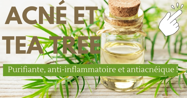L'huile essentielle de tea tree contre l'acné