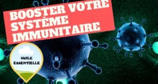 se protéger des maladies avec les huiles essentielles : booster système immunitaire