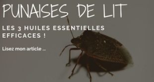 huile essentielle contre punaise de lit