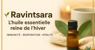 Huile essentielle de Ravintsara – bienfaits immunité, respiration et vitalité – Bruno Riotte aromathérapie