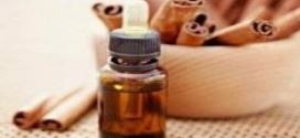 huile essentielle cannelle