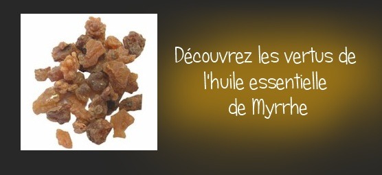 huile essentielle de myrrhe – Huiles essentielles et aromathérapie