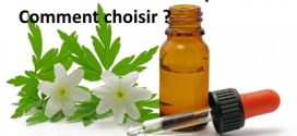 Comment choisir des huiles essentielles de qualité ?