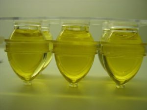 ovule d'huiles essentielle contre mycose vaginale
